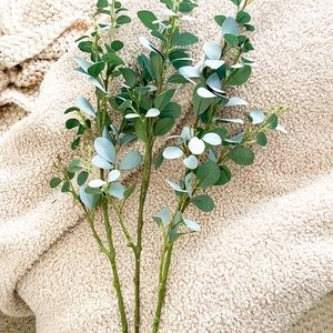 Mint Velvet Eucalyptus Stem